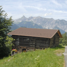 _DSC0553_JPG-1279315413