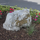 _DSC0556_JPG-1279315479