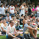 publikum 2 - forestglade wiesen 2010 - burgenland - florian wieser _18_.jpg