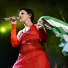 THE CRANBERRIES - forestglade wiesen 2010 - burgenland - florian wieser  _14_.jpg