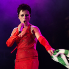 THE CRANBERRIES - forestglade wiesen 2010 - burgenland - florian wieser  _18_.jpg