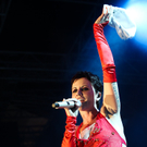 THE CRANBERRIES - forestglade wiesen 2010 - burgenland - florian wieser  _7_.jpg