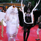 IMG_7964.JPG