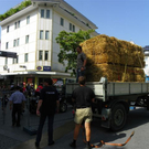 1. Bregenzer Innenstadt - Kriterium 