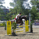 Bregenzer Springreitturnier 
