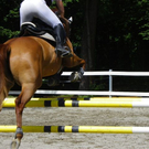 Bild 082_jpg-1279399849