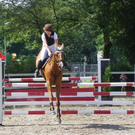 Bild 088_jpg-1279399862