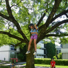 104_0468_jpg-1279406254