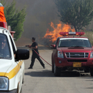 Waldbrände in Griechenland