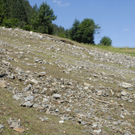 _DSC0033_JPG-1279465294