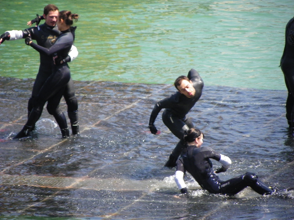 Bild 417_jpg-1279472464