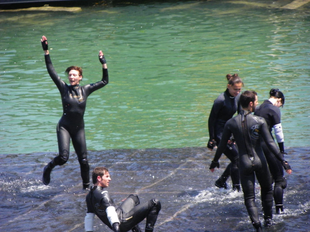 Bild 426_jpg-1279472487