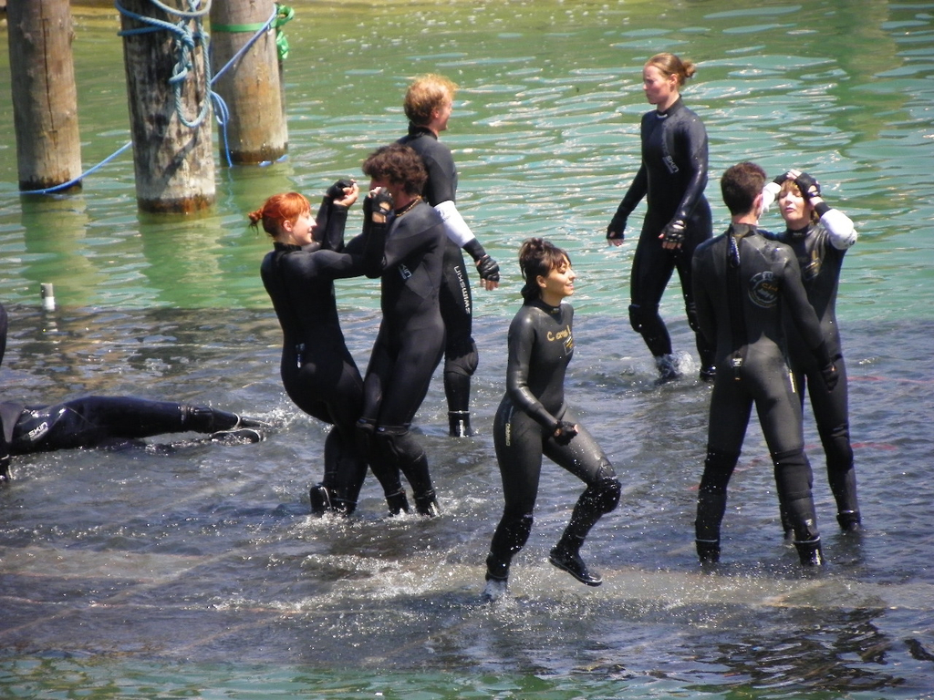 Bild 433_jpg-1279472499