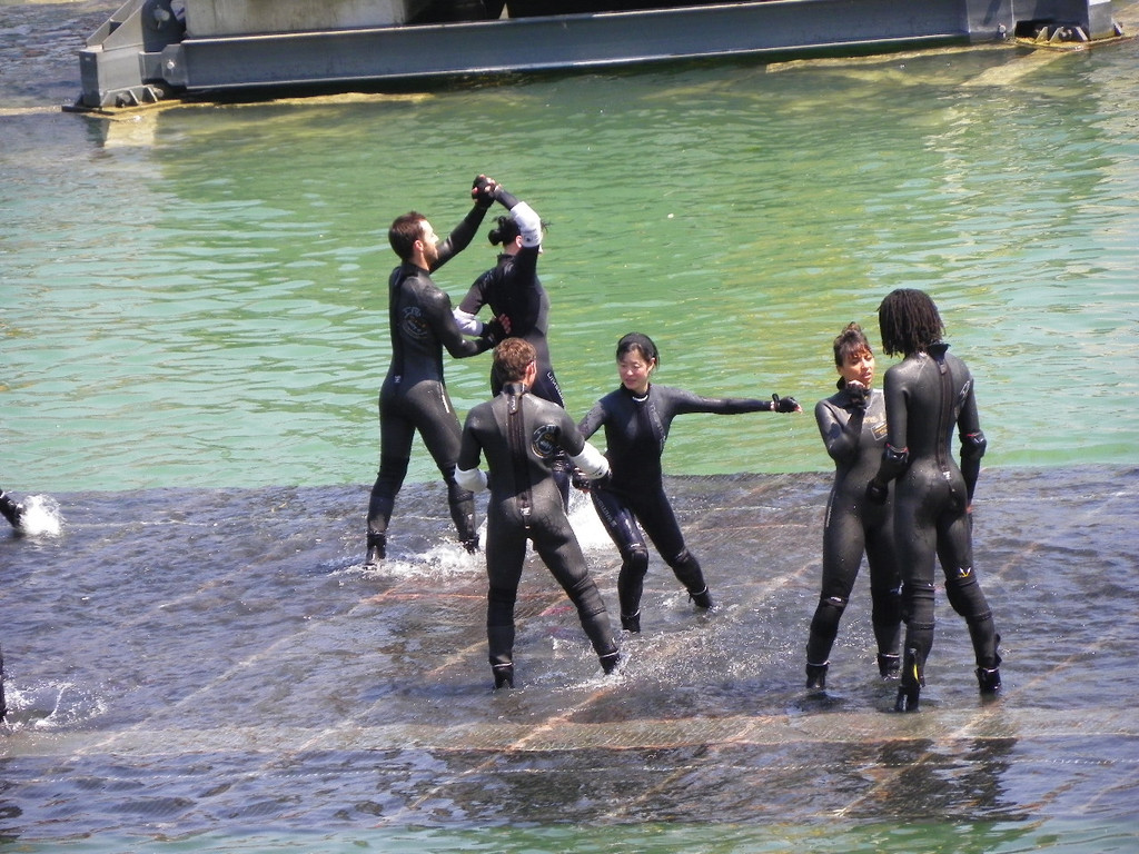 Bild 454_jpg-1279472594