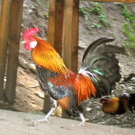 KOE_Urlaubsfreuden Brand 21_jpg-1279474953