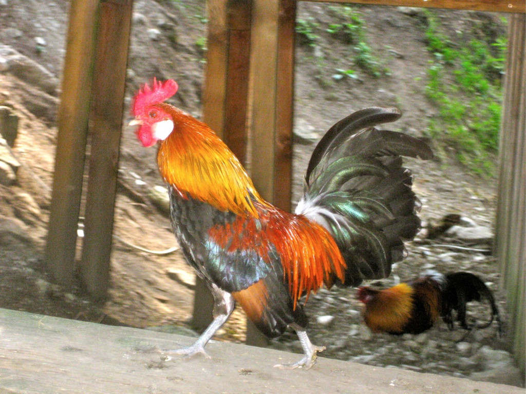 KOE_Urlaubsfreuden Brand 21_jpg-1279474953