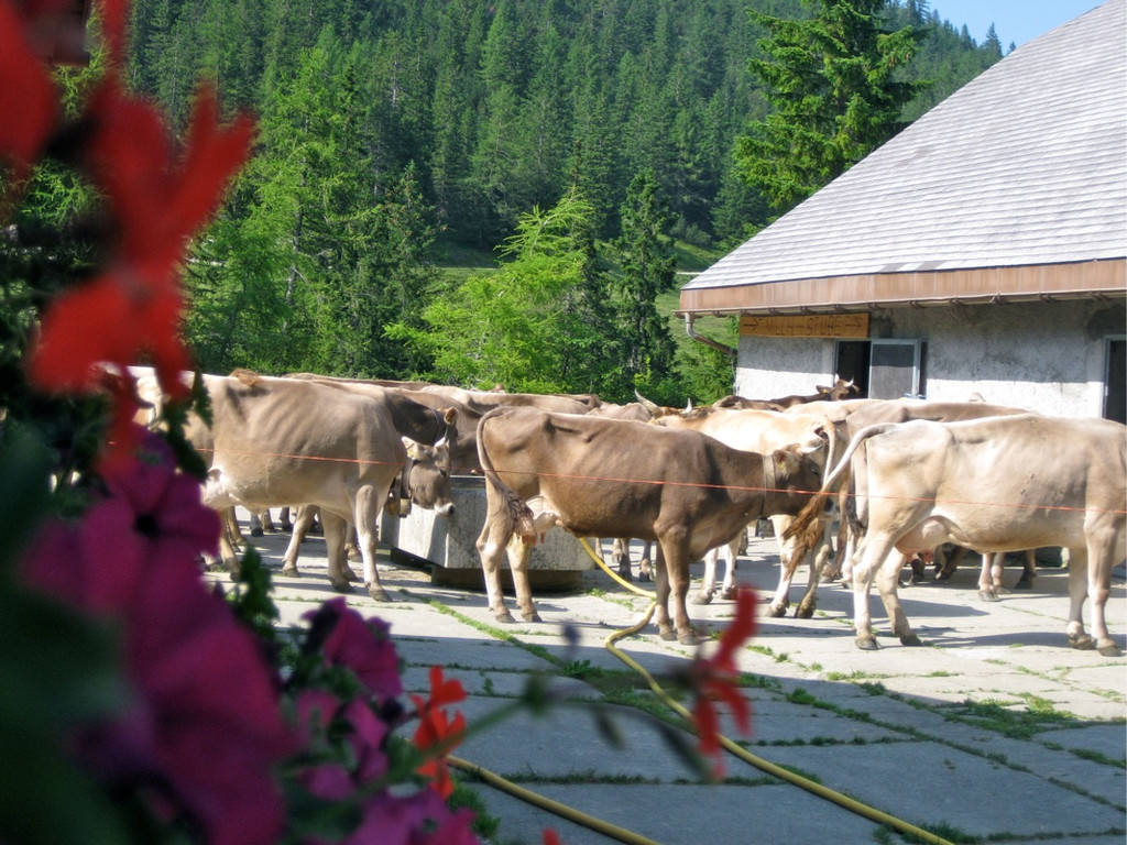 KOE_Wandertipp Pal__dh__tte 10_jpg-1279481955