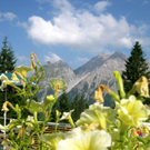 KOE_Wandertipp Pal__dh__tte 15_jpg-1279481992