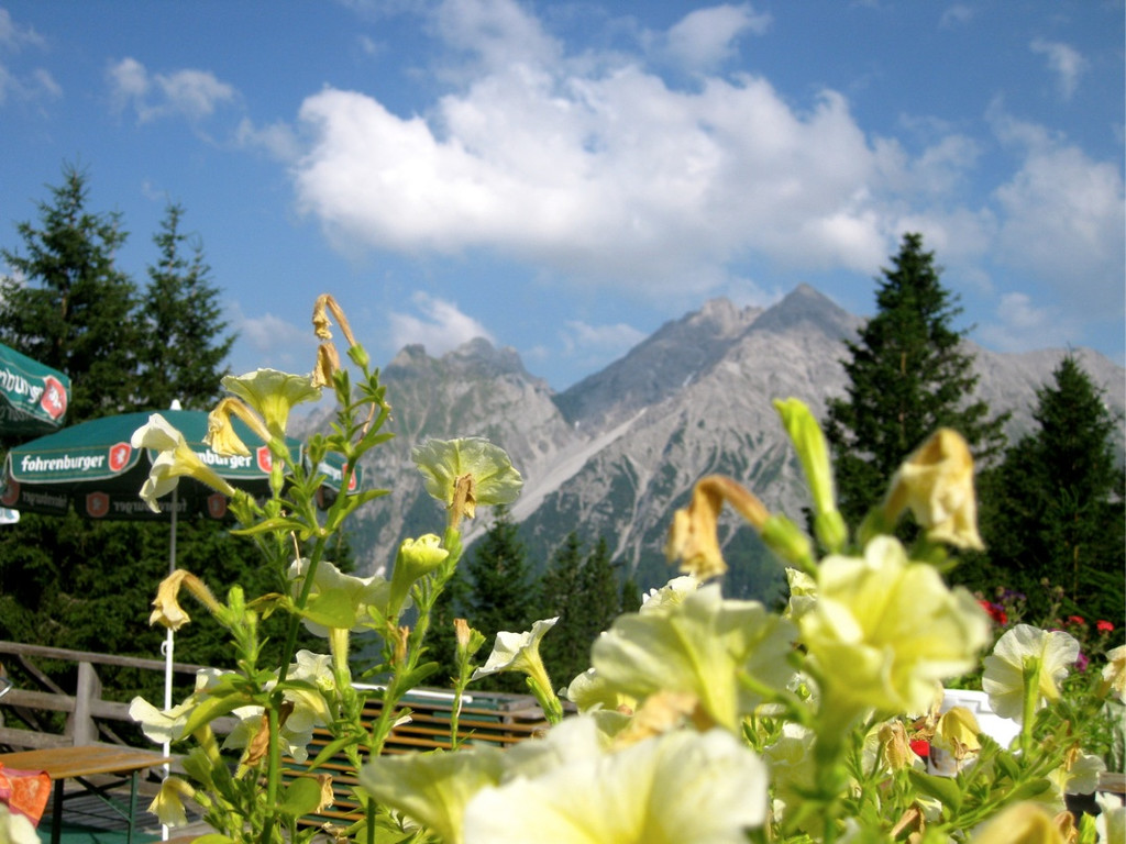 KOE_Wandertipp Pal__dh__tte 15_jpg-1279481992