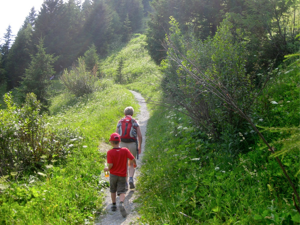 KOE_Wandertipp Pal__dh__tte 22_jpg-1279482055