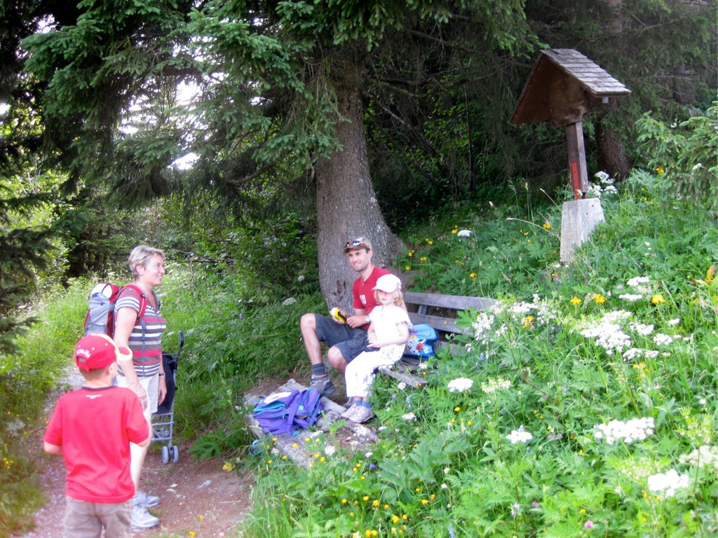 KOE_Wandertipp Pal__dh__tte 23_jpg-1279482071