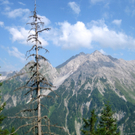 KOE_Wandertipp Pal__dh__tte 24_jpg-1279482079
