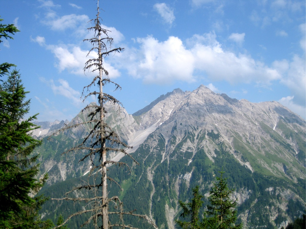 KOE_Wandertipp Pal__dh__tte 24_jpg-1279482079