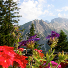KOE_Wandertipp Pal__dh__tte 37_jpg-1279482170