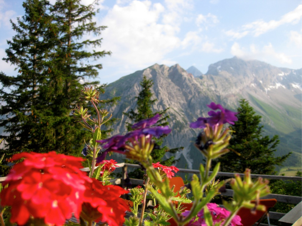 KOE_Wandertipp Pal__dh__tte 37_jpg-1279482170