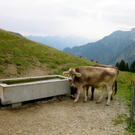 KOE_Wandertipp Pal__dh__tte 47_jpg-1279482243