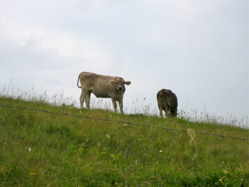 KOE_Wandertipp Pal__dh__tte 48_jpg-1279482248