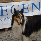 DSC_0033.JPG