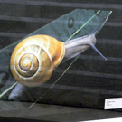 104_0490_jpg-1279523039