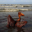 Oil-Spill-Disaster-01.jpg