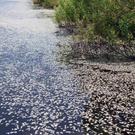 Oil-Spill-Disaster-02.jpg