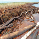 Oil-Spill-Disaster-08.jpg