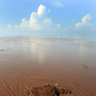 Oil-Spill-Disaster-14.jpg