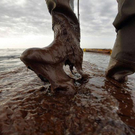 Oil-Spill-Disaster-17.jpg