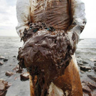 Oil-Spill-Disaster-18.jpg