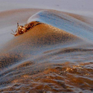 Oil-Spill-Disaster-23.jpg