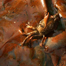 Oil-Spill-Disaster-24.jpg