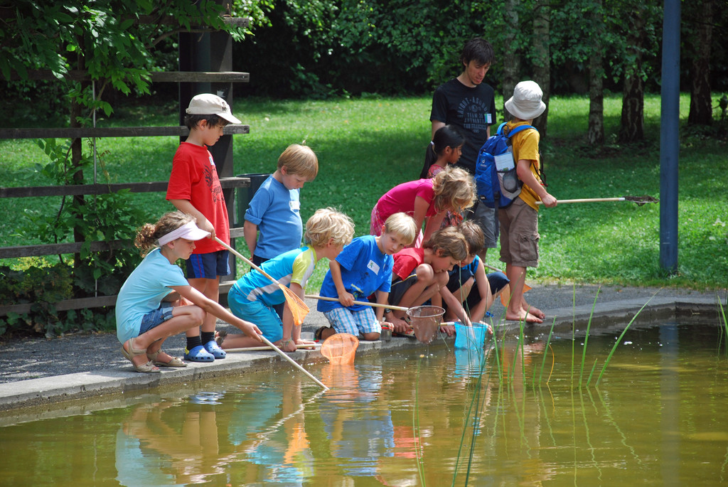 DSC_0065_JPG-1279531789