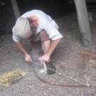 IMG_3451_JPG-1279558775