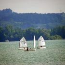 103_9254_jpg-1279579517