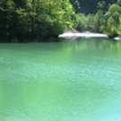 IMG_0050_JPG-1279637978