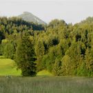 IMG_4468.jpg