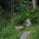 IMG_4471.JPG