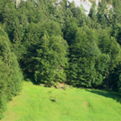 IMG_4479.jpg