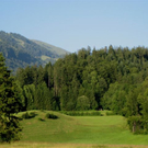 IMG_4480.jpg