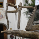 _DSC02170002_2.JPG